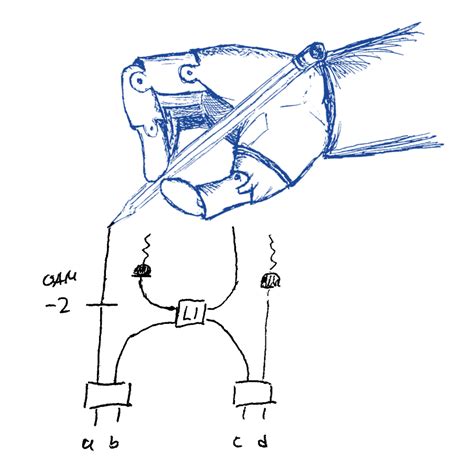 Quantum experiments designed by machines