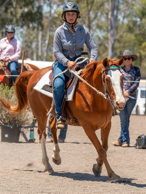 The Brumby Project puts on show just for brumbies to display wild horses’ big potential ...