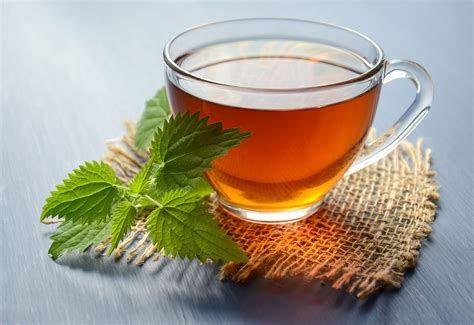 Health tips for Removes obesity Using Green Tea. - Health Tips men ...