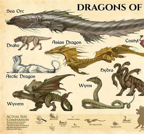 35.5k Likes, 278 Comments - Dragons & Monsters (@dragons_monsters) on Instagram: “🐲 Which one is ...