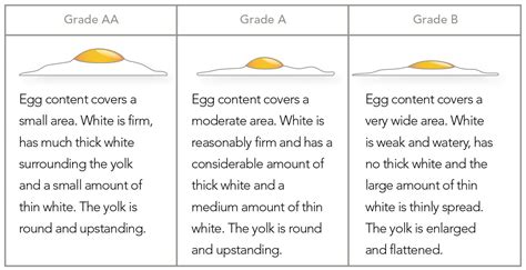 What Do Different Egg Grades Mean?