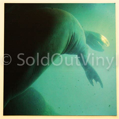 Brand New - Daisy Vinyl green LP — SoldOutVinyl