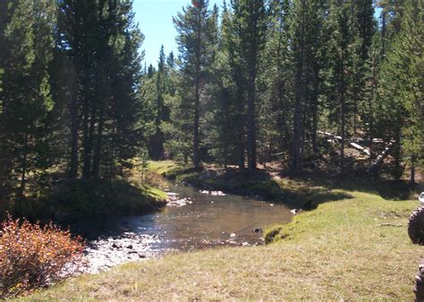 Dyer Park FS Rd #547 Dispersed Camping Area Camping | The Dyrt