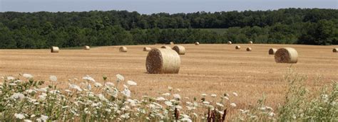 Township of Springwater, Ontario - “A Community of Communities”