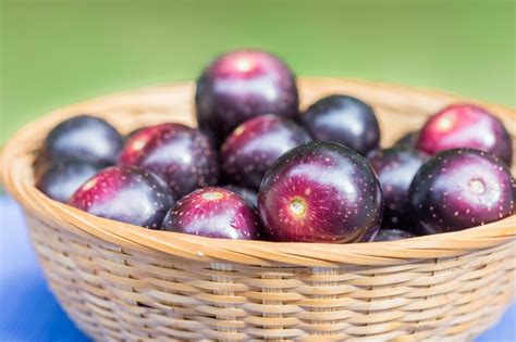 Health Benefits of Muscadine Grapes | Livestrong.com