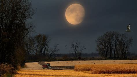 September stargazing guide: Harvest Moon and first day of fall ...