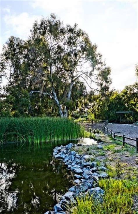 Fountain Valley, California | Fountain valley, Places, Photo