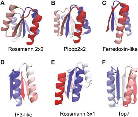 Frontiers | A Method for Assessing the Robustness of Protein Structures ...