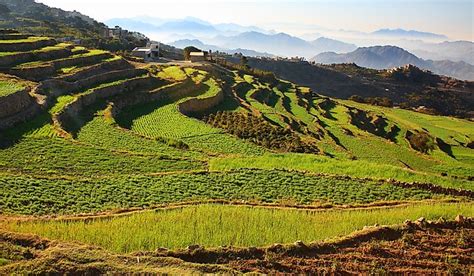 What Are The Major Natural Resources Of Yemen? - WorldAtlas.com