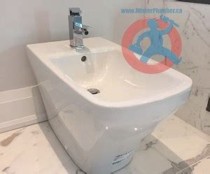 European style bidet installation in Toronto - Mister Plumber