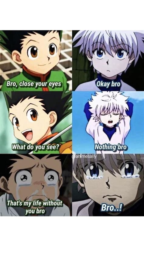 Random hxh comics memes that i cant delete from my memory – Artofit