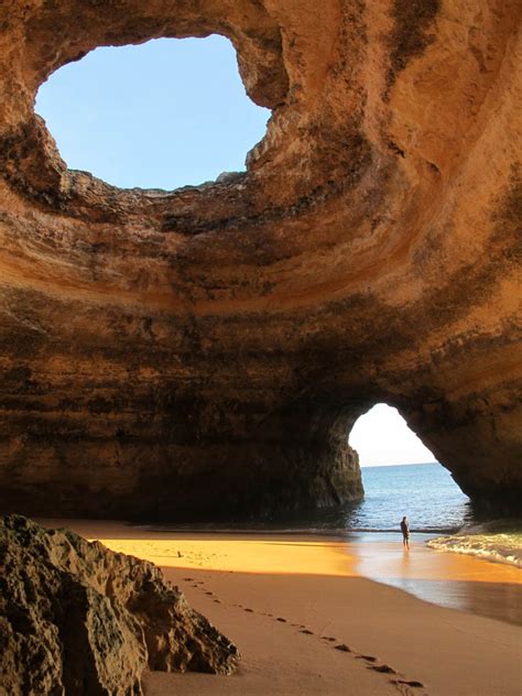 Beautiful Sea Cave Algarve | Animal Photo