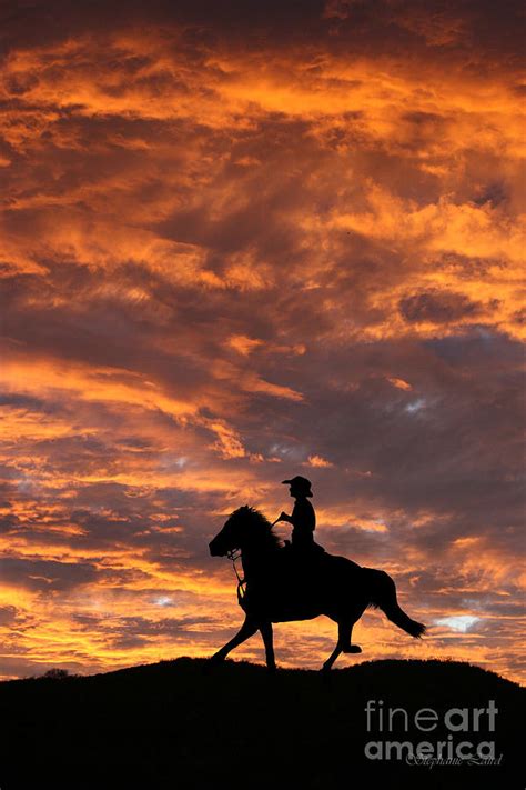 Cowboy and Horse in the Sunset Photograph by Stephanie Laird - Fine Art America