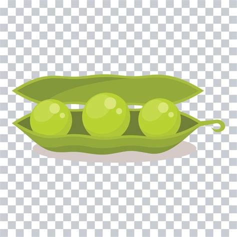 Green beans vegetable 23004584 Vector Art at Vecteezy