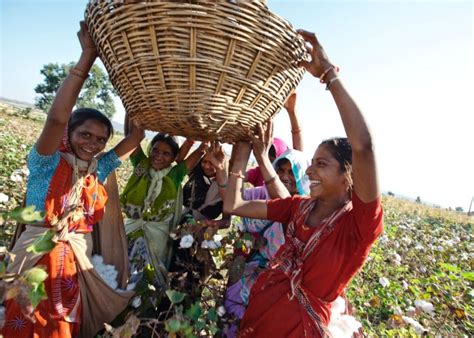 Sewing the seeds of change for organic cotton in India | Virgin