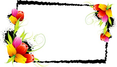 And Decorative Flower Floral Design Frames Borders Transparent HQ PNG Download | FreePNGImg