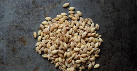 10 Best Hulled Barley Recipes | Yummly