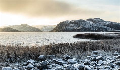 Wildfire adaptation in the Russian Arctic | REKA network