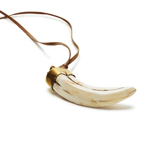 Wild Boar Tusk Necklace – Laurier Blanc | Unique Home Decor From Around ...