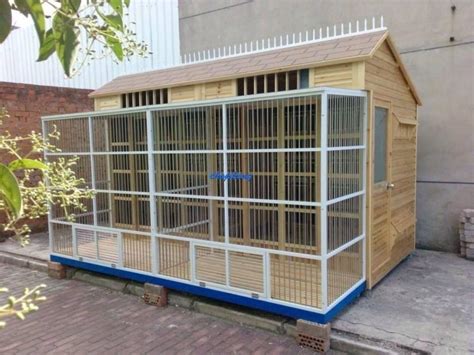 Charming Wooden Bird Cage on Brick Sidewalk