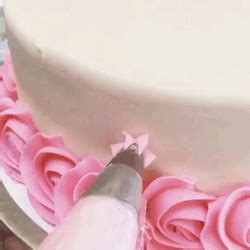 Pin by Patricia Standridge-Main on Cake Decorating | Hot pink cakes, Pink birthday cakes, Pink cake
