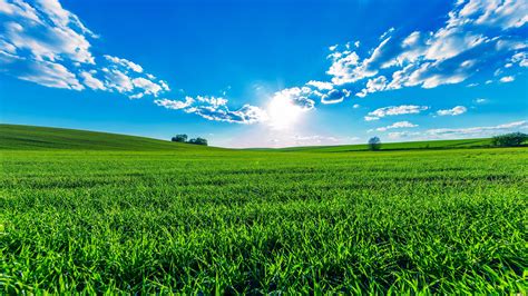 🔥 Download Wallpaper Green Fields Blue Sky Clouds Sun Beautiful Summer by @wkim91 | Green Field ...