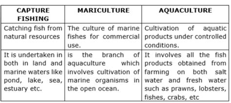 Differentiate between capture fishing, mariculture and aquaculture.