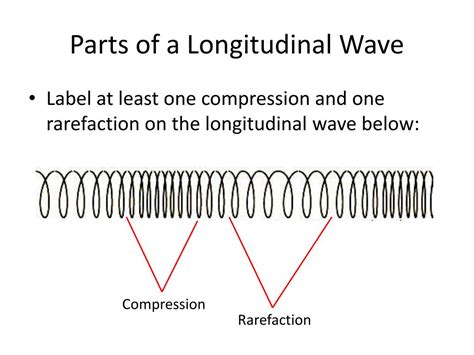 Give 2 Examples Of Longitudinal Waves