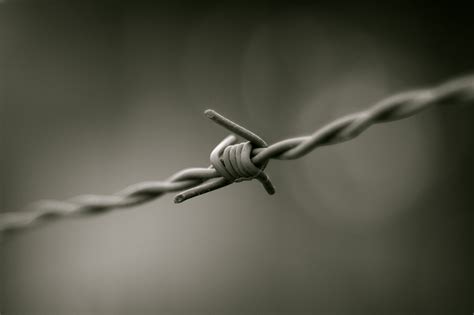 File:Barbed wire B&W.JPG - Wikipedia, the free encyclopedia