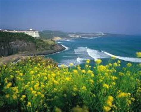 Jeju Island Photos - Featured Images of Jeju Island, South Korea - Tripadvisor