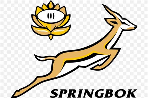 South Africa National Rugby Union Team 2017 Rugby Championship ...