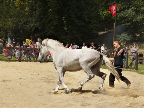 Horse Dressage Show editorial image. Image of event, show - 74902780