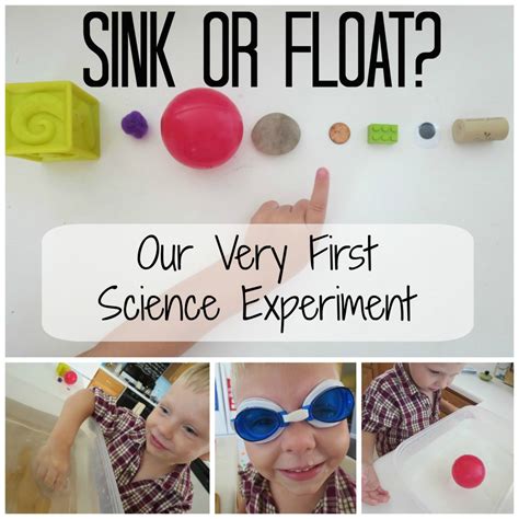 Sink Or Float Science