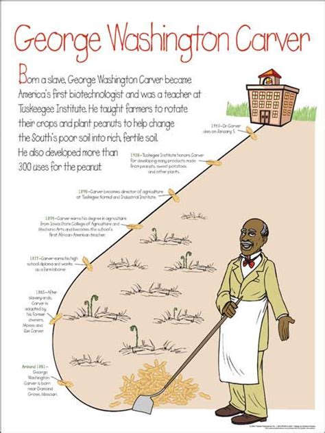 George Washington Carver: Elementary School Timeline Poster | The Black Art Depot