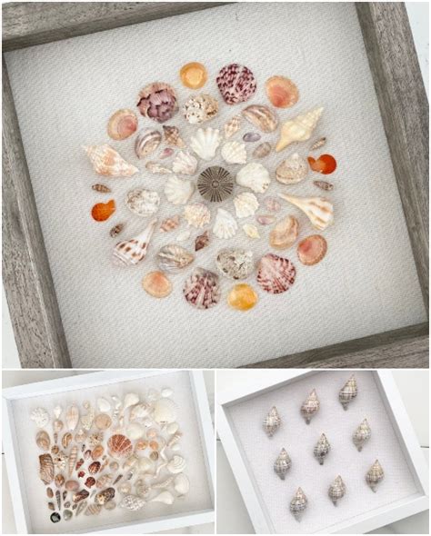 28 Shell Art Ideas | Framed Seashell Wall Art