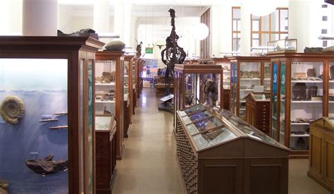 BONE ROOMS: The Sedgwick museum - Cambridge pt1.