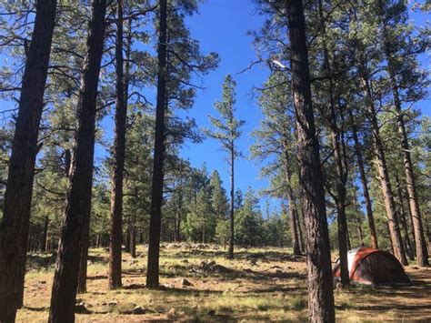 Kaibab National Forest Kaibab Lake Campground | The Dyrt