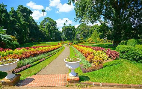 Royal Botanical Gardens, Peradeniya | Timings, Entrance Fee, History ...