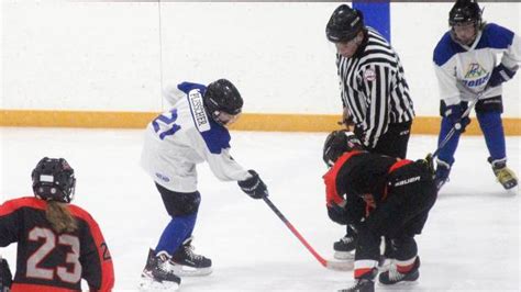 Youth hockey teams qualify for district tournaments