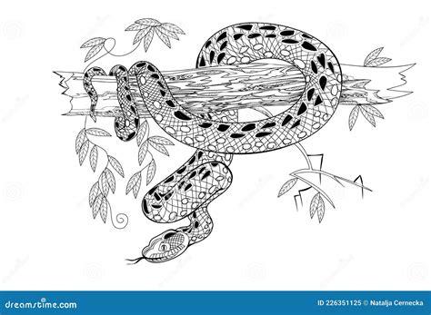 Illustration of a Dangerous Anaconda Snake on Tree Branch. Black and ...