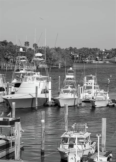 Boats at Jupiter Inlet Vertical Bw Photograph by Laura Fasulo - Fine ...