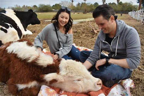 Aimee's Farm Animal Sanctuary