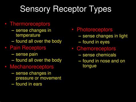 Special Senses: The Eye & Vision - ppt download