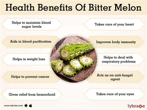 Benefits of Bitter Melon And Its Side Effects | Lybrate