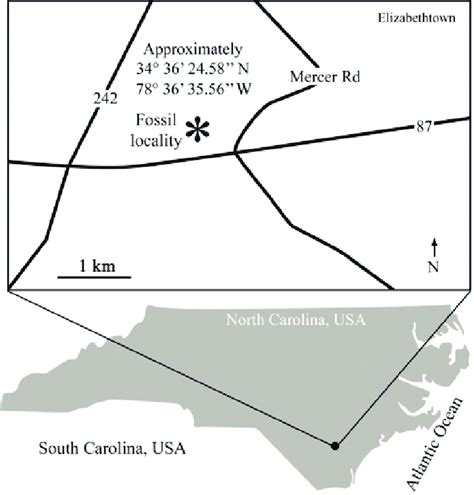 Generalized map of the fossil locality. | Download Scientific Diagram