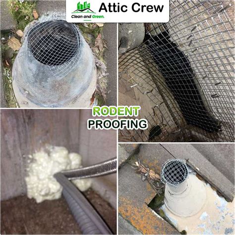 Rodent Proofing » Attic Crew