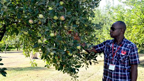 Agricultural Extension | CALS International Programs | NC State University