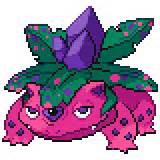 Starter Pokémon - The Pokemon Insurgence Wiki