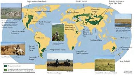 Temperate Grassland Biome World Map