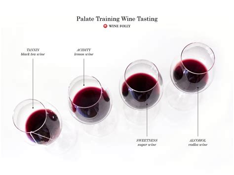 DIY Palate Training Wine Tasting | Wine Folly